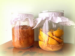 熟成2ヶ月と、漬けて3日目の塩レモン